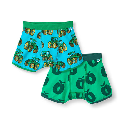 Elstar 2 pack of boys underwear