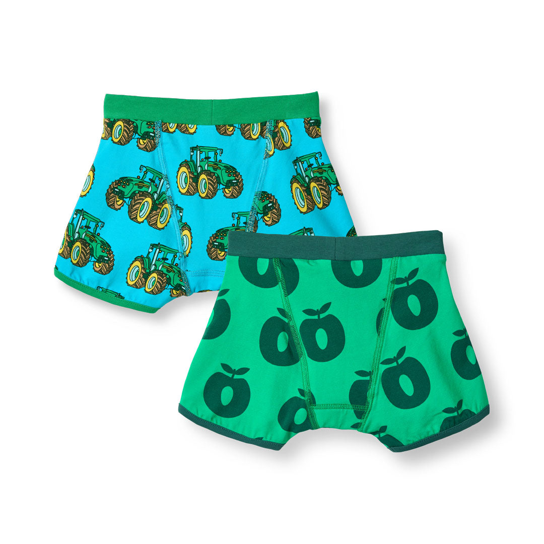Elstar 2 pack of boys underwear