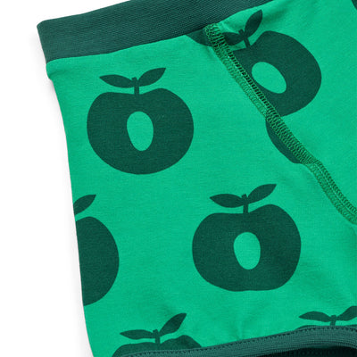 Elstar 2 pack of boys underwear