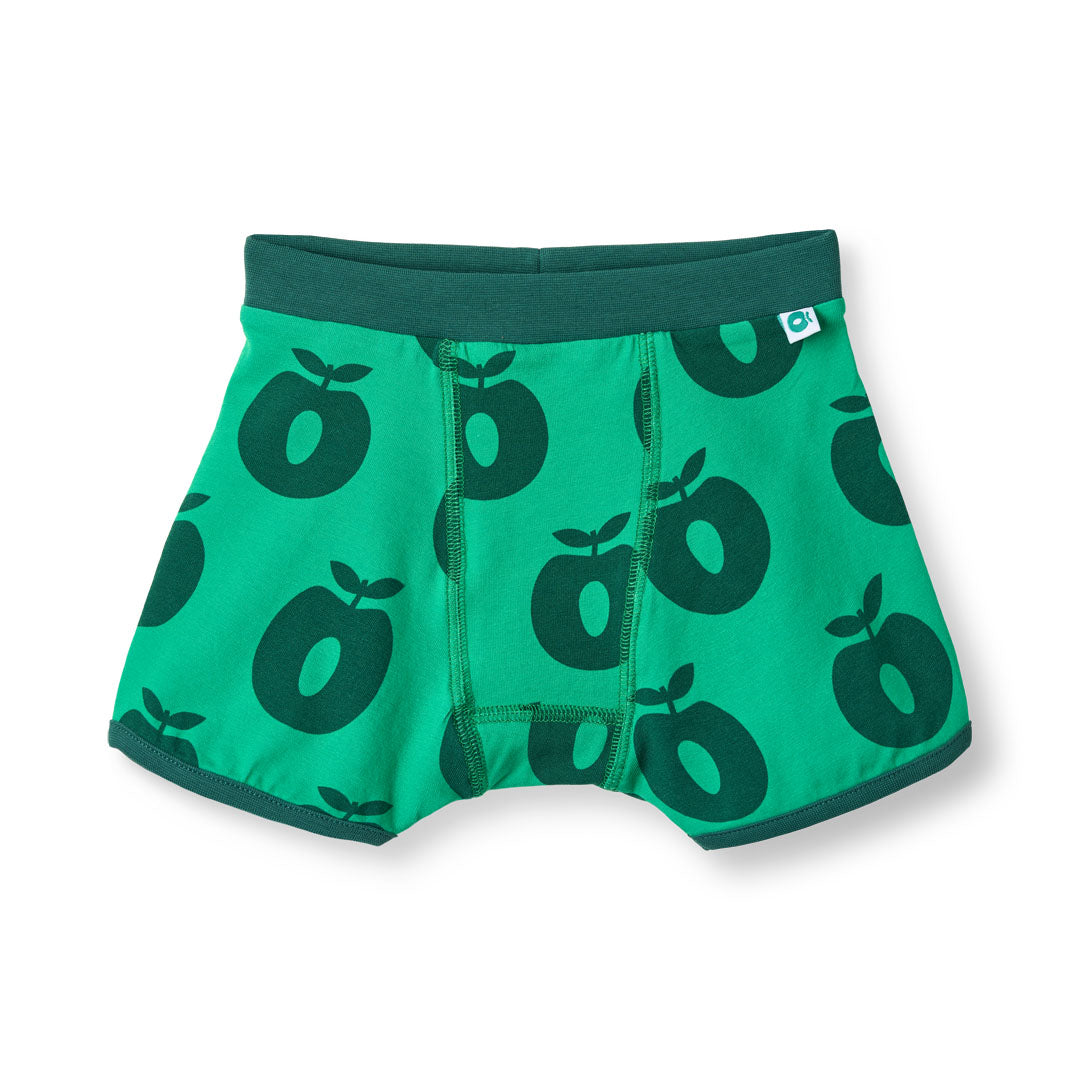 Elstar 2 pack of boys underwear