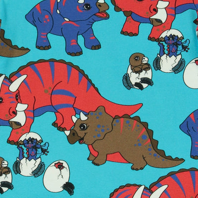 Reversible hood with dinosaurs