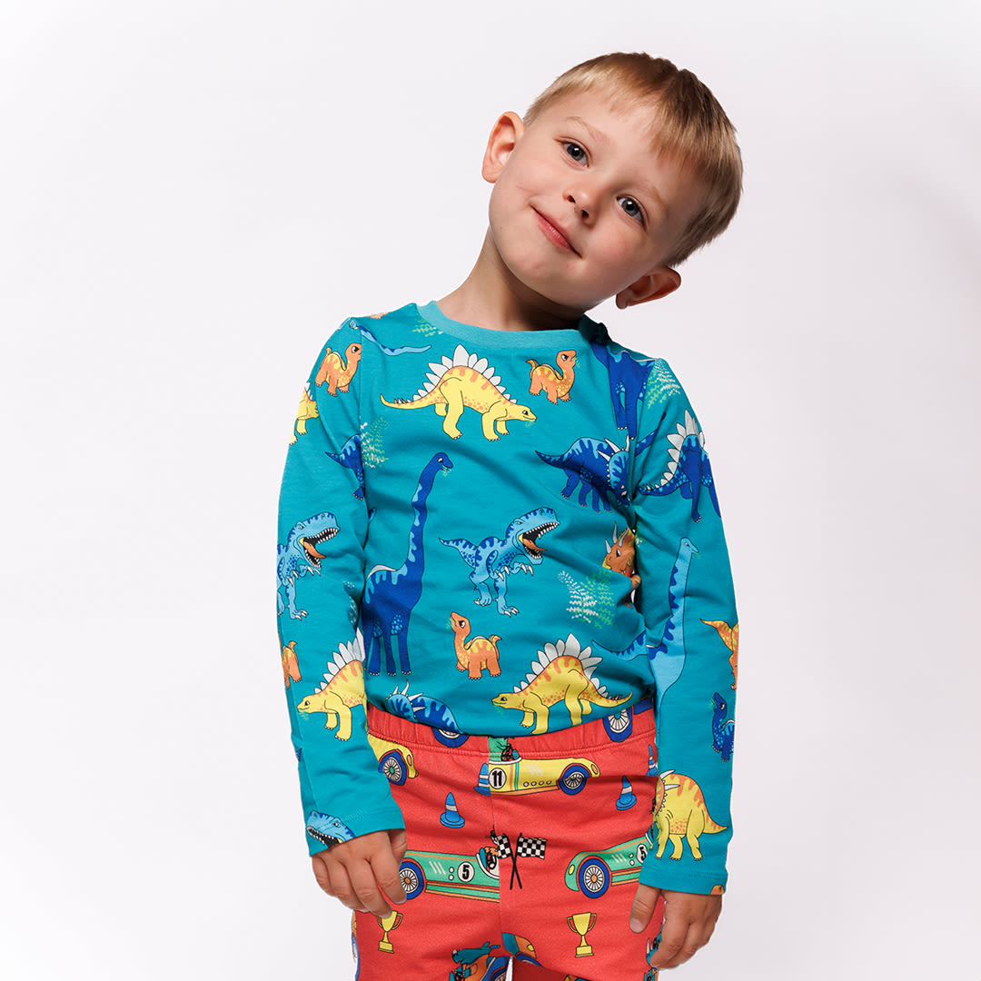 Long-sleeved top with dinosaurs