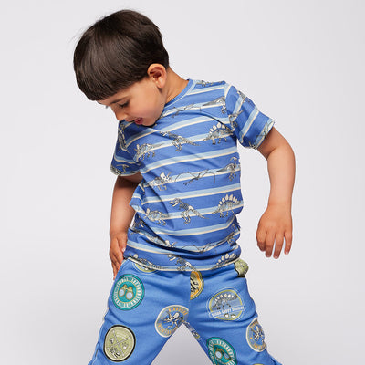 Gala t-shirt with dinosaurs and stripes