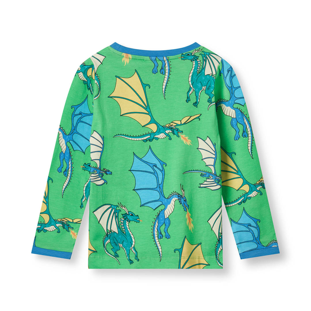 Long-sleeved top with flying dragons