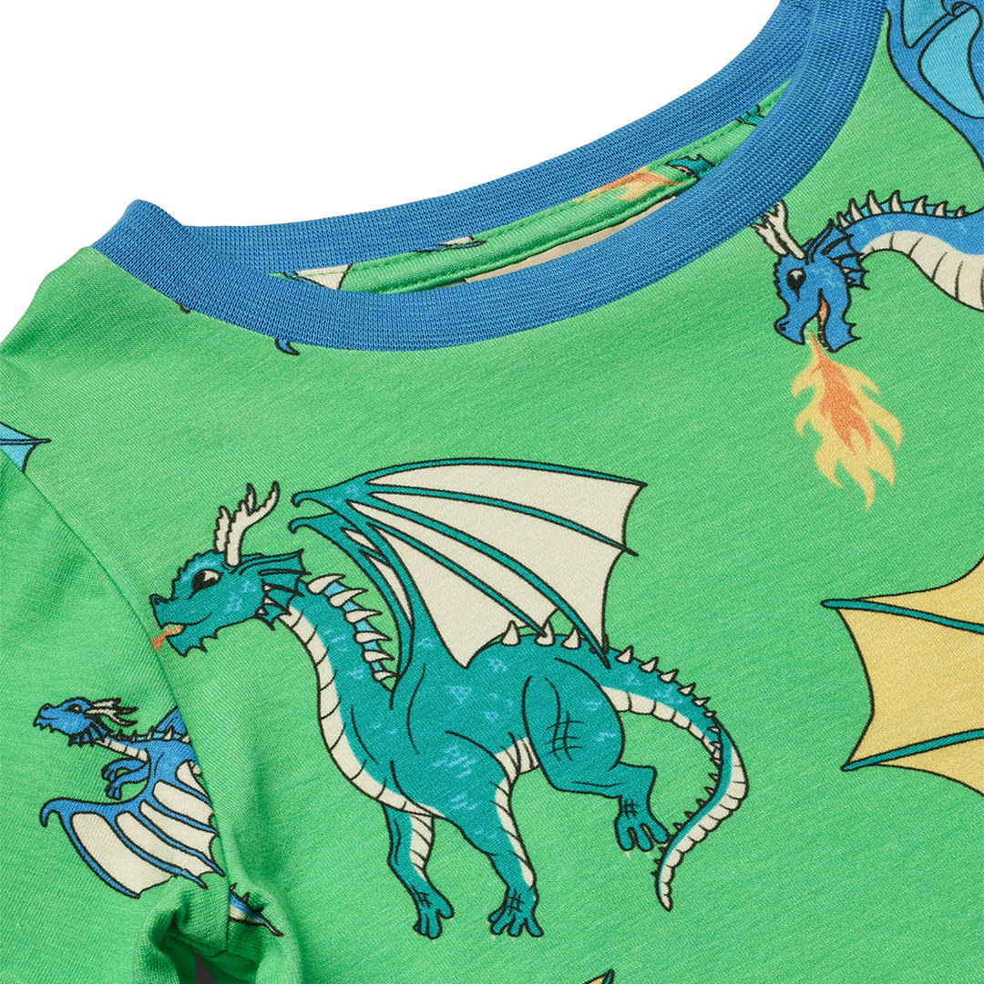 Long-sleeved top with flying dragons