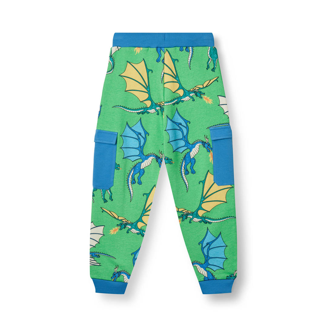 Pants with flying dragons