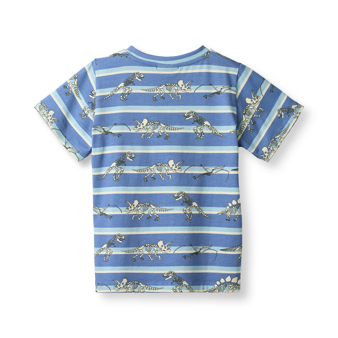 Gala t-shirt with dinosaurs and stripes