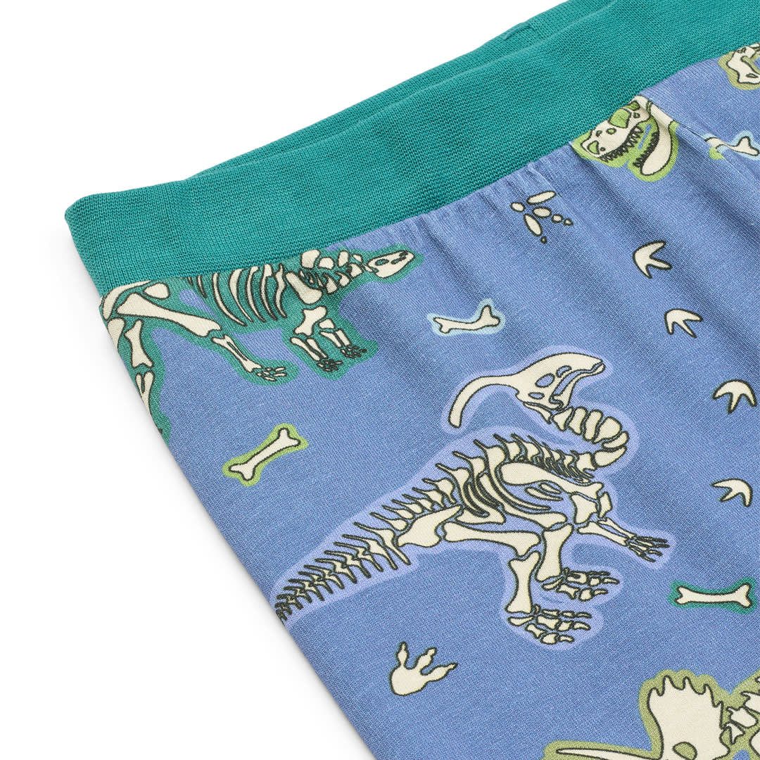 Jubilee nightwear set with dinosaur