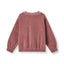 Yapeen velour sweatshirt with apple