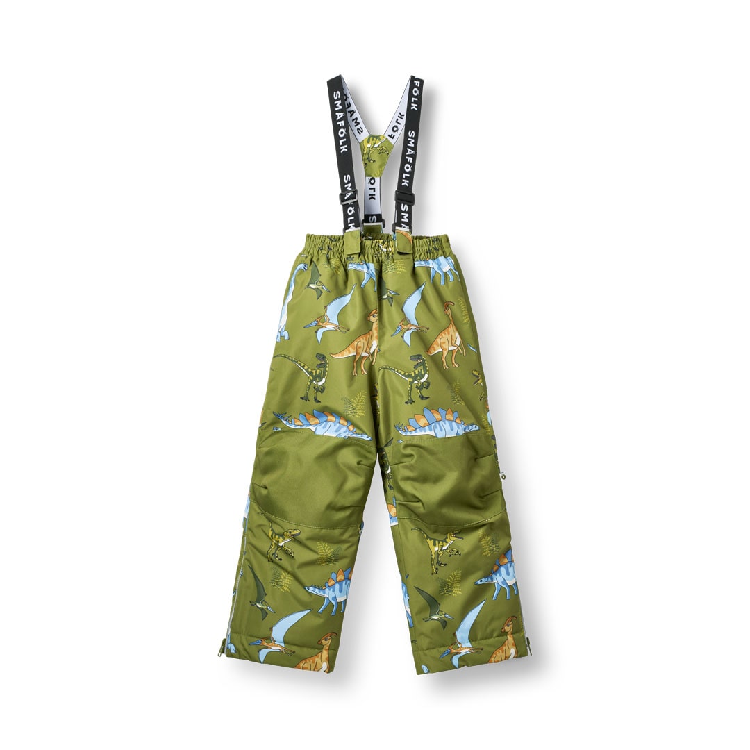 Ski pants with dinosaurs