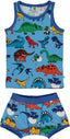 Underwear set with dinosaurs