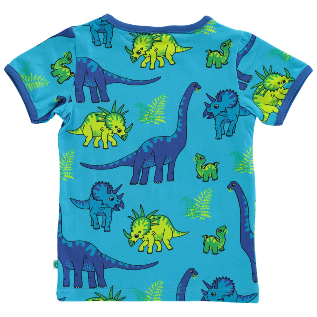 T-shirt with dinosaur