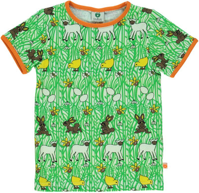 T-shirt easter