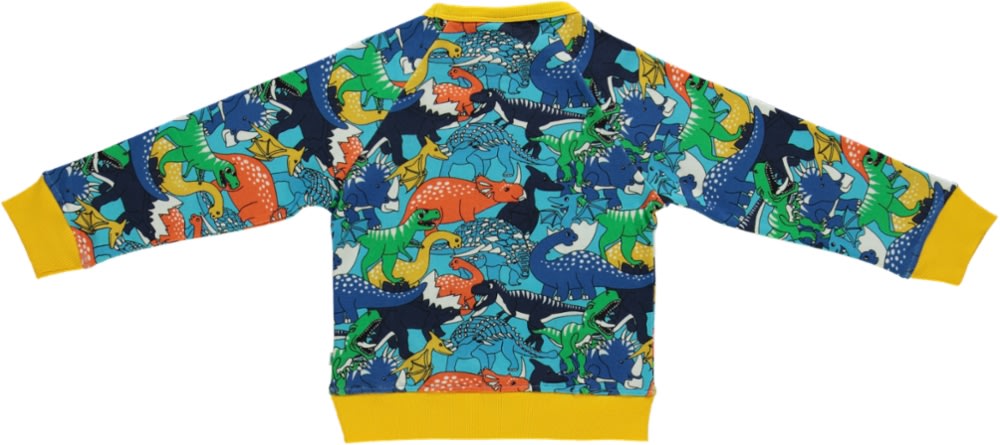Sweatshirt with dinosaur